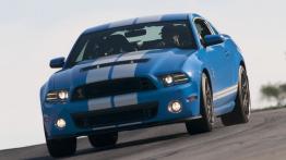 Ford Mustang Shelby GT500 Coupe 2013 - widok z przodu