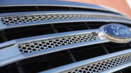 Ford F-150 - model 2013 - grill