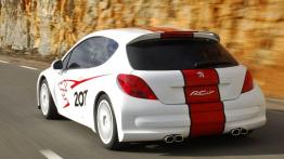 Peugeot 207 RCup Concept - tył - reflektory wyłączone