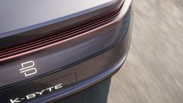 Kolejny chiński elektryk szykowany na podbój Europy