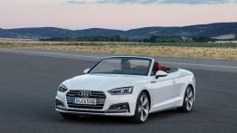 Audi A5/S5 Cabrio w pełnej krasie
