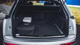 Audi Q7 e-tron - hybryda z przyszłości