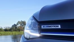 Volkswagen Golf 1.5 TSI BM – sukces nie wziął się znikąd