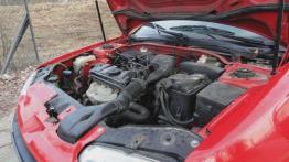 Piękny kompakt spod znaku lwa - Peugeot 306 (1993-2001)