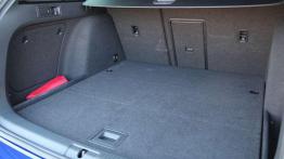 Volkswagen Golf R Variant - ogniste kombi