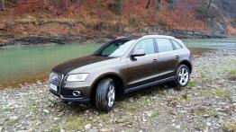 Audi Q5 - bulwarówką na pustynię