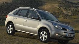 Czy warto kupić: używane Renault Koleos (od 2008 roku)