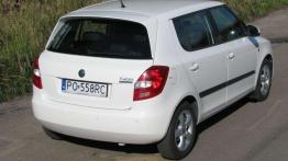 Skoda Fabia Greenline - Oszczędzanie wymaga cierpliwości