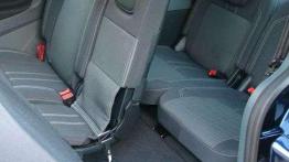 Dwa oblicza rodzinnego vana