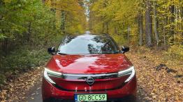 Test: Nowy Nissan Leaf przeszedł sporą metamorfozę. Sprawdziłem, czy wyszło mu to na dobre