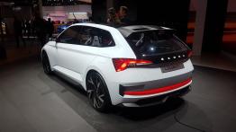Paris Motor Show 2018 - Skoda - widok z tyłu