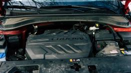 Hyundai Santa Fe 2.0 CRDI 185 KM - galeria redakcyjna