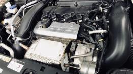 Peugeot 308 GTi 1.6 e-THP 272 KM - galeria redakcyjna