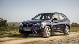 BMW X1 II xDrive25i (2016) - lewy bok