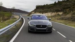 Jaguar XE 2.0d Ammonite Grey (2015) - widok z przodu