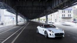 Jaguar F-Type AWD R Roadster (2016) - widok z przodu