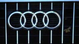 Audi Q5 w Nowej Zelandii - część 4 - galeria redakcyjna - inne zdjęcie