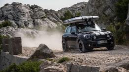 Mini Countryman ALL4 Camp (2013) - widok z przodu