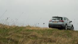 Opel Insignia Country Tourer 2.0 - galeria redakcyjna - widok z tyłu