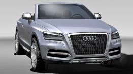 Audi Cross Cabrio Quatrro Concept - widok z przodu