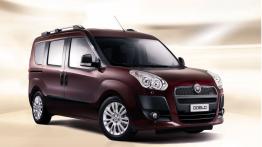 Fiat Doblo 2010 - prawy bok