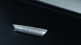 Audi RS3 Sportback - inny element wnętrza z przodu