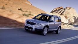 Skoda Yeti 2011 - widok z przodu