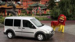 Ford Tourneo Connect SWB - widok z góry