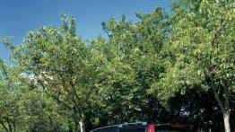 Volvo V70 - widok z tyłu