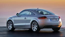 Audi TT 2006 - widok z tyłu