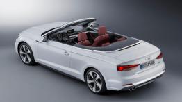 Audi A5/S5 Cabrio w pełnej krasie