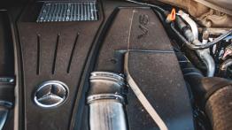 Mercedes GLS 500 - smok naszych czasów