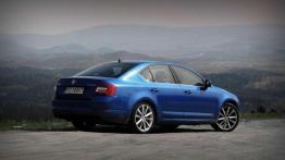 Lepszy diesel czy benzyna? Wybór silnika na podstawie nowej Octavii