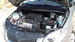 Nowa Skoda Fabia 1.4 16V czy 1.6 16V?
