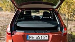 SUV musi być - Renault Koleos