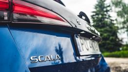 Skoda Scala 1.0 TSI 115 KM - galeria redakcyjna