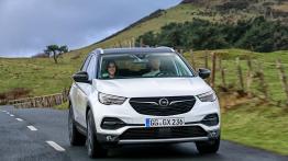 Opel Grandland X Ultimate (2018)  - widok z przodu