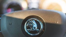 Skoda Superb 2.0 TSI Laurin&Klement - galeria redakcyjna