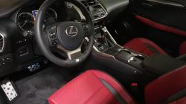 Lexus NX 300 - galeria redakcyjna (1)