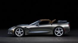 Chevrolet Corvette C7 Stingray Cabrio (2014) - lewy bok