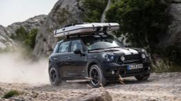 Mini Countryman ALL4 Camp (2013) - widok z przodu
