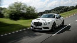 Bentley Continental GT3-R (2014) - widok z przodu