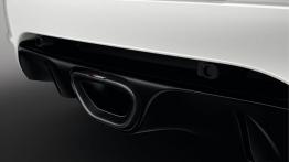 Renault Megane III RS 275 Trophy-R (2014) - rura wydechowa