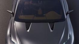 Lexus LF-NX Turbo Concept (2013) - widok z góry