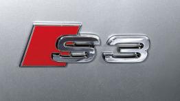 Audi S3 2008 - emblemat