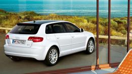 Audi A3 2008 - widok z tyłu