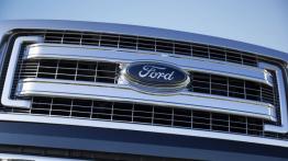 Ford F-150 - model 2013 - grill