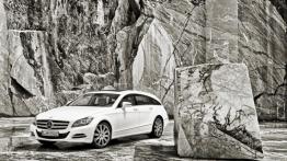 Mercedes CLS Shooting Brake - widok z przodu