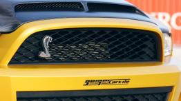 Ford Mustang Shelby GT500 GeigerCars - grill