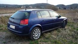 Opel Signum  Hatchback - galeria społeczności - prawy bok
